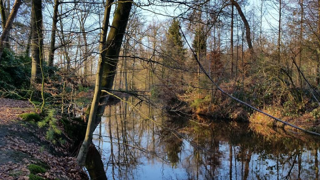 Отель Den Soeten Inval Делден Экстерьер фото